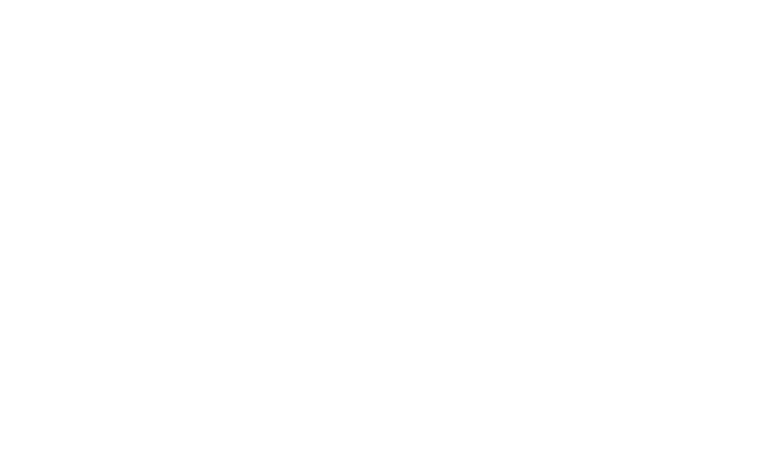 Bo-Concept_Logo_White